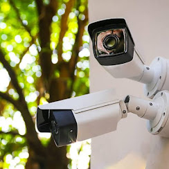 Outdoor Bullet Cameras Garden